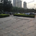 北京常营华联-室外东区西侧必胜客门前14