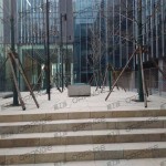 利星行中心-室外惠普中广场西侧台上过道10