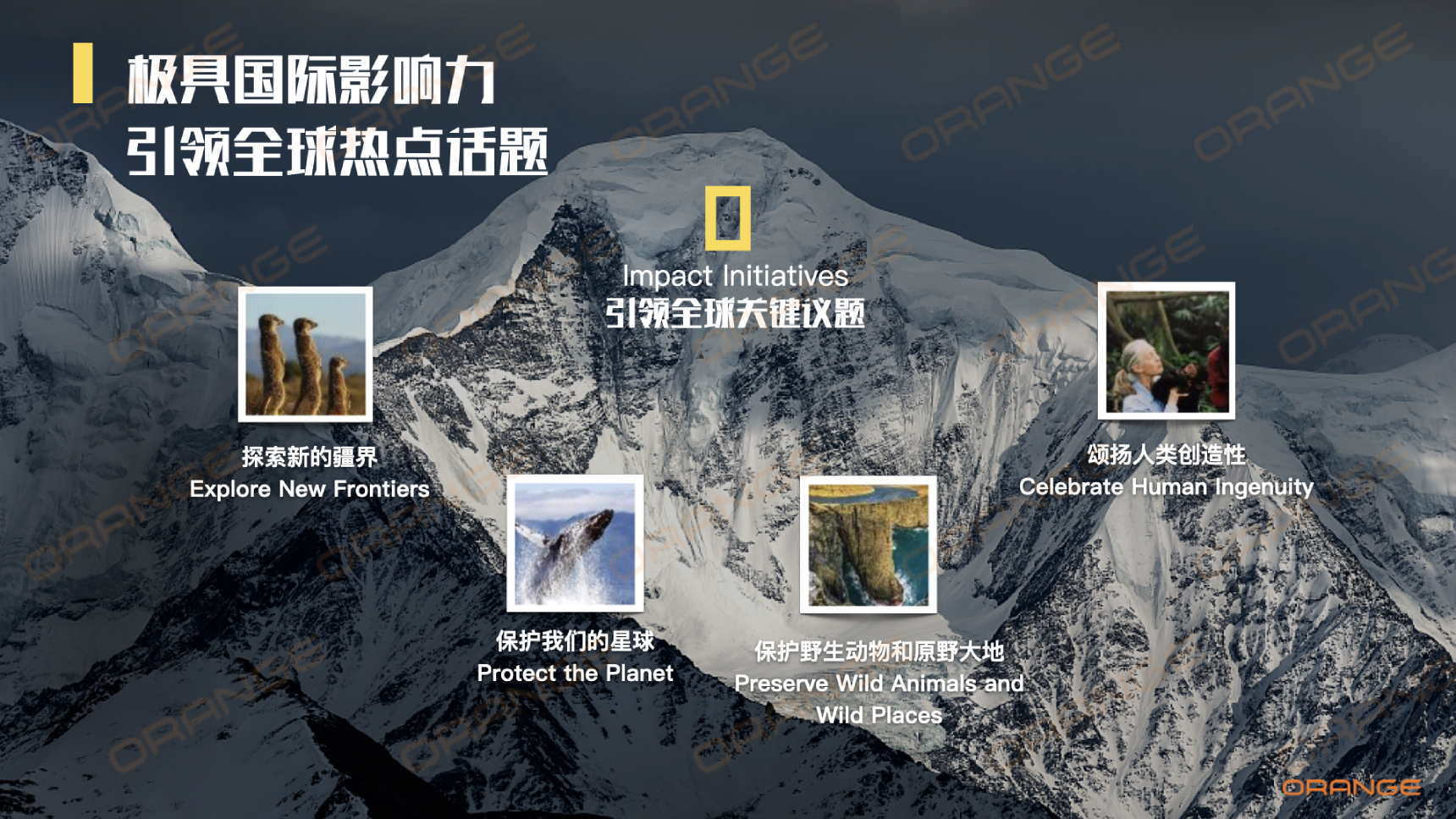 2020  国家地理 IP资源介绍  咨询：  冷先生  13810162596  袁先生  15926339977  (1).jpg