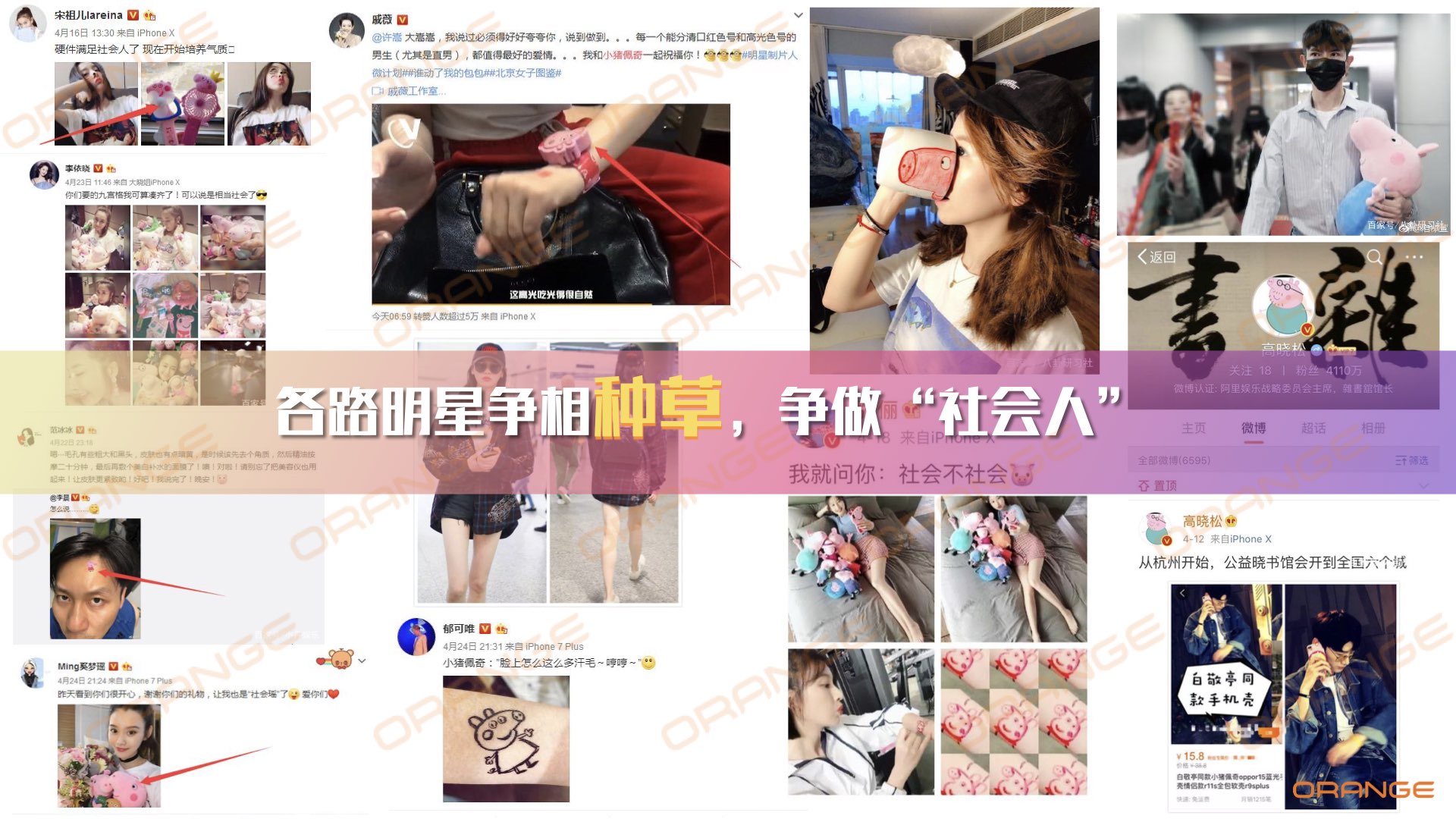 小猪佩奇.013.jpeg
