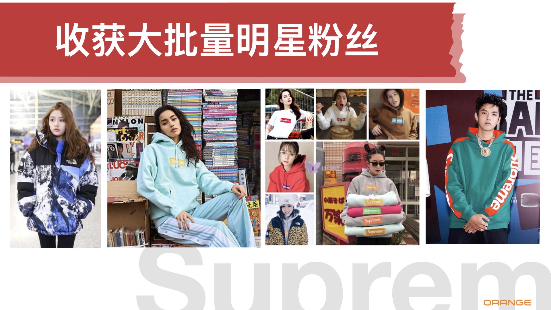 supreme IP.005.jpeg